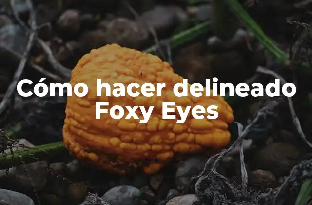 Cómo Hacer Delineado Foxy Eyes