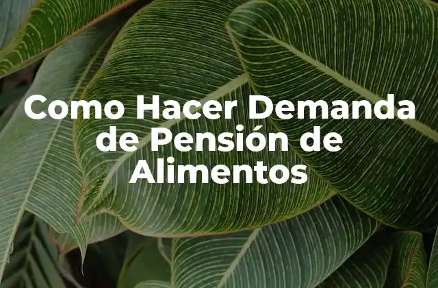 Como Hacer Demanda de Pensión de Alimentos