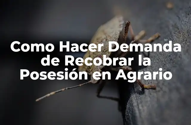 Como Hacer Demanda de Recobrar la Posesión en Agrario
