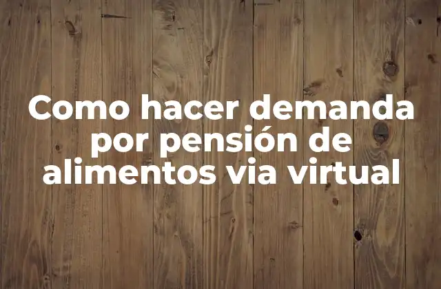 Como Hacer Demanda por Pensión de Alimentos Via Virtual