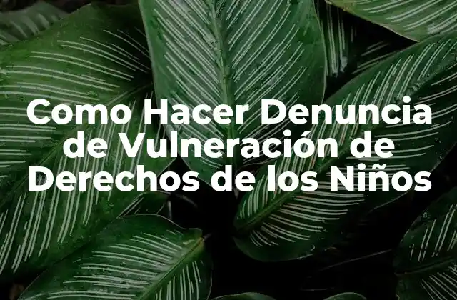 Como Hacer Denuncia de Vulneración de Derechos de los Niños