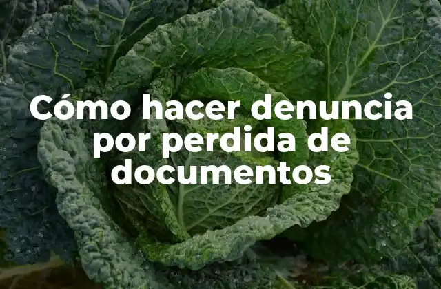¿Qué es una denuncia por pérdida de documentos y para qué sirve?