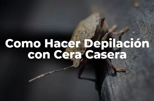 ¿Qué es la Depilación con Cera Casera y para Qué Sirve?