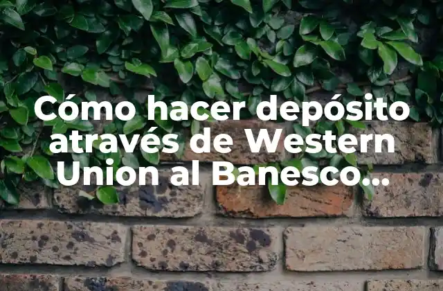 Cómo Hacer Depósito Através de Western Union Al Banesco Panamá