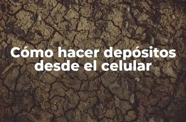 Cómo Hacer Depósitos desde el Celular