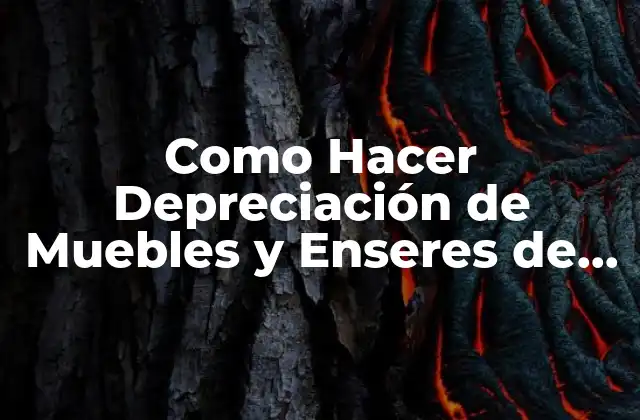Como Hacer Depreciación de Muebles y Enseres de Varios Productos
