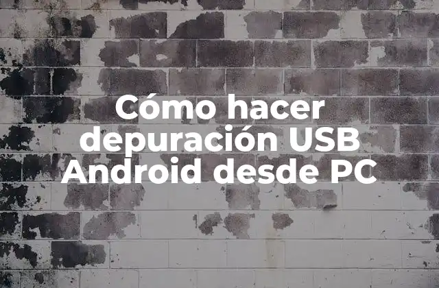 Cómo Hacer Depuración Usb Android desde Pc