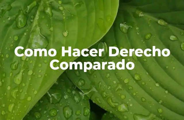 Como Hacer Derecho Comparado