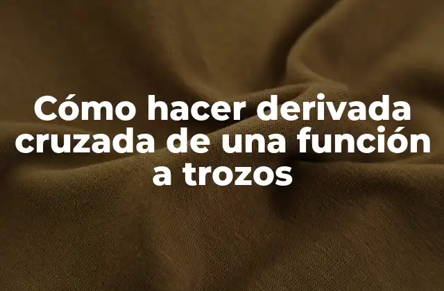Cómo Hacer Derivada Cruzada de una Función a Trozos