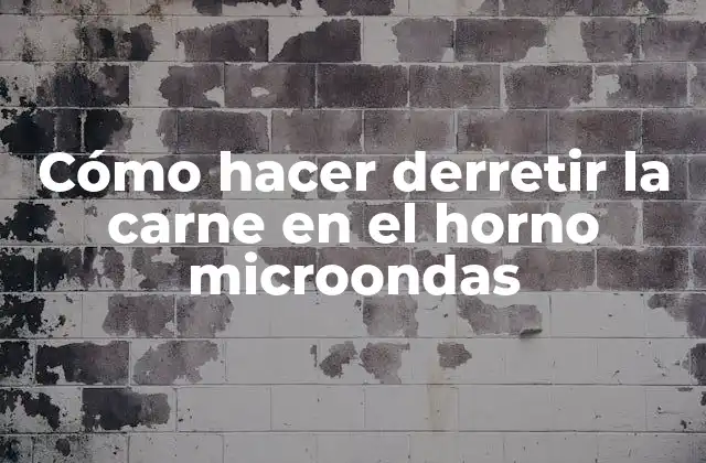Cómo Hacer Derretir la Carne en el Horno Microondas