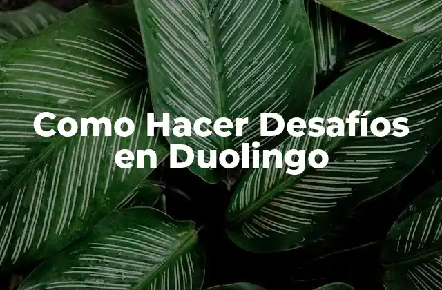 Como Hacer Desafíos en Duolingo 2 ¿Qué son los Desafíos en Duolingo?