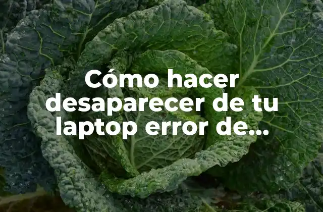 Cómo Hacer Desaparecer de Tu Laptop Error de Explorer.exe