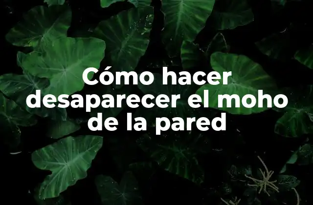Cómo Hacer Desaparecer el Moho de la Pared