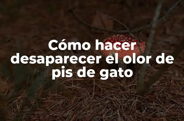 Cómo Hacer Desaparecer el Olor de Pis de Gato