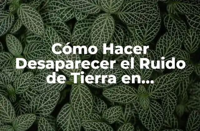 ¿Qué es el Ruido de Tierra en Electroacústica?