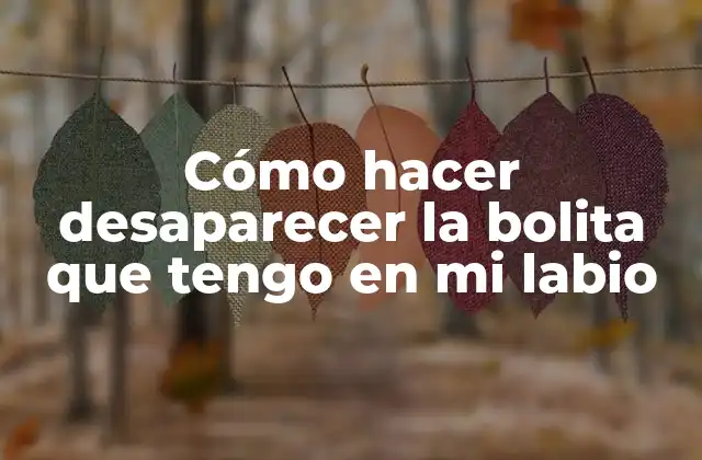 Cómo Hacer Desaparecer la Bolita que Tengo en Mi Labio