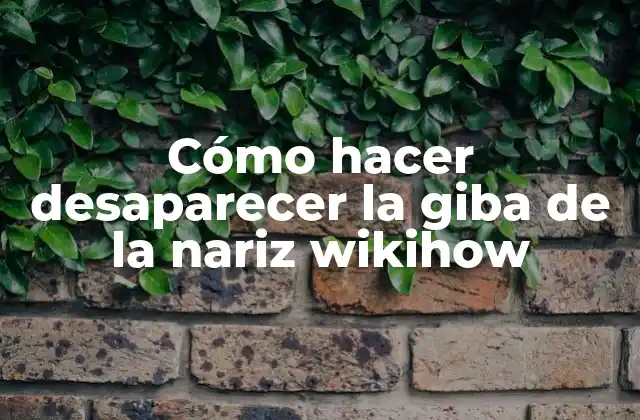 Cómo Hacer Desaparecer la Giba de la Nariz Wikihow