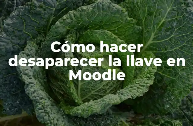 Cómo Hacer Desaparecer la Llave en Moodle