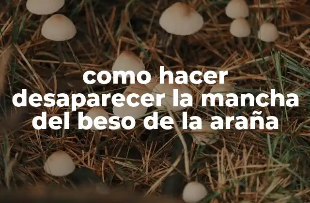 Como Hacer Desaparecer la Mancha Del Beso de la Araña
