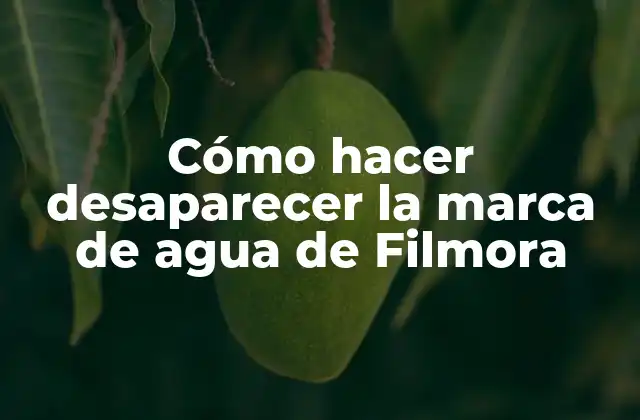 Cómo Hacer Desaparecer la Marca de Agua de Filmora 2 ¿Qué es la marca de agua de Filmora y cómo se elimina?