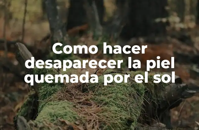 Como Hacer Desaparecer la Piel Quemada por el Sol