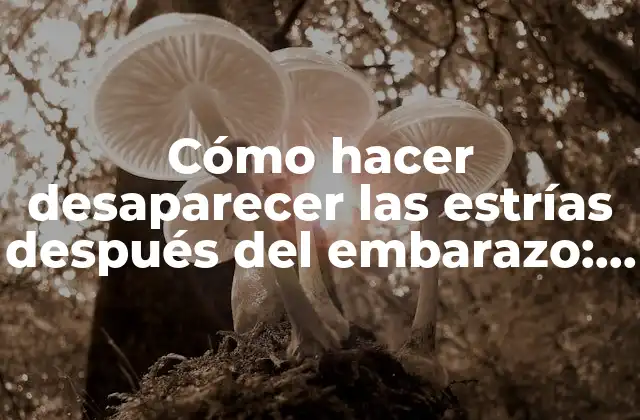 Cómo Hacer Desaparecer las Estrías Después Del Embarazo: Guía Completa