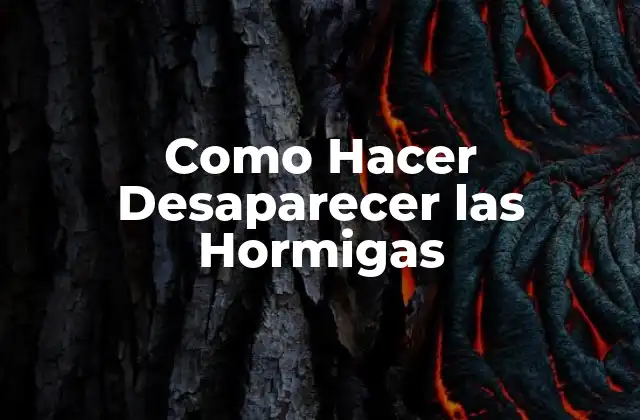 Como Hacer Desaparecer las Hormigas