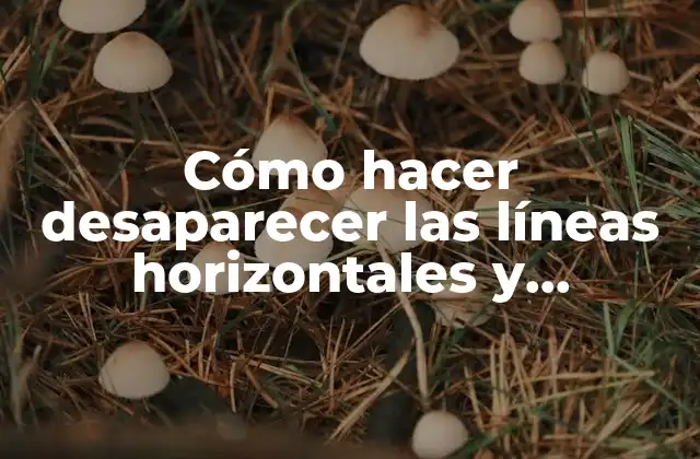 Cómo Hacer Desaparecer las Líneas Horizontales y Verticales en Excel