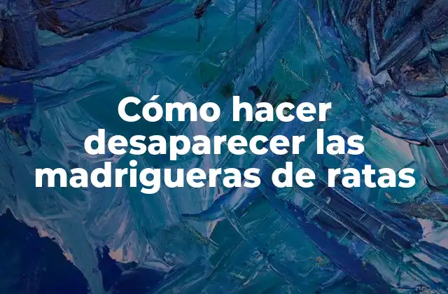 Cómo Hacer Desaparecer las Madrigueras de Ratas 2 ¿Qué son las madrigueras de ratas y por qué debemos eliminarlas?