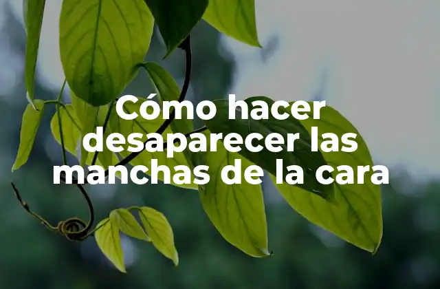 Cómo Hacer Desaparecer las Manchas de la Cara