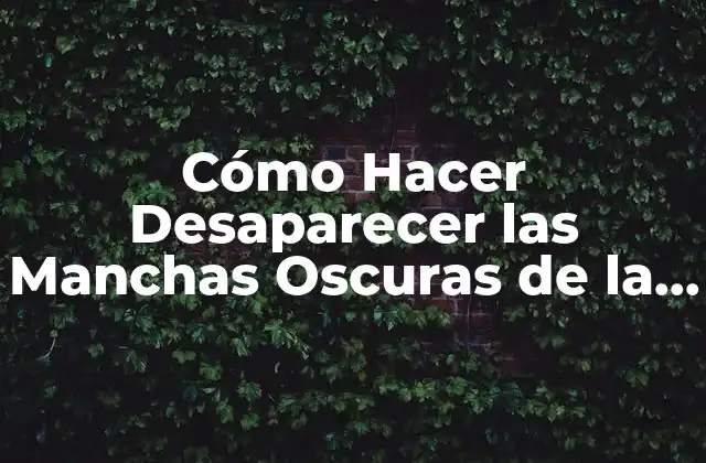 Cómo Hacer Desaparecer las Manchas Oscuras de la Cara