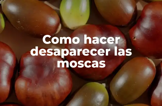 Como Hacer Desaparecer las Moscas