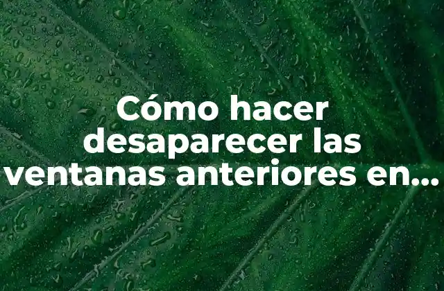 Cómo Hacer Desaparecer las Ventanas Anteriores en Excel
