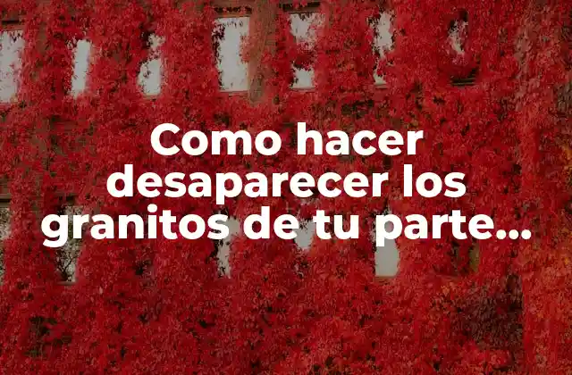 Como Hacer Desaparecer los Granitos de Tu Parte Íntima