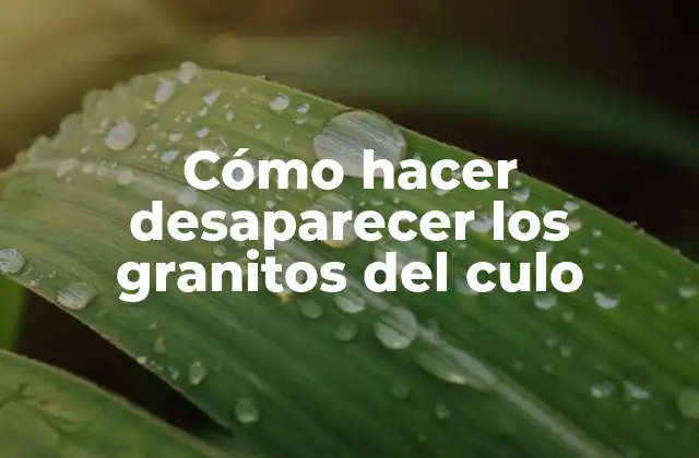 Cómo Hacer Desaparecer los Granitos Del Culo 2 ¿Qué son los granitos del culo?