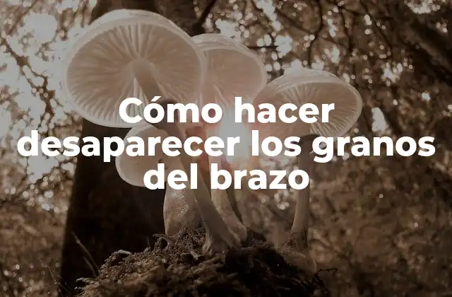 Cómo Hacer Desaparecer los Granos Del Brazo