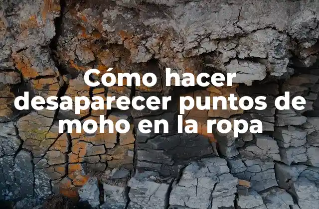 Cómo Hacer Desaparecer Puntos de Moho en la Ropa 2 ¿Qué son los puntos de moho en la ropa?