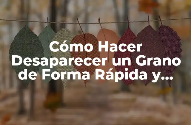 Cómo Hacer Desaparecer un Grano de Forma Rápida y Segura