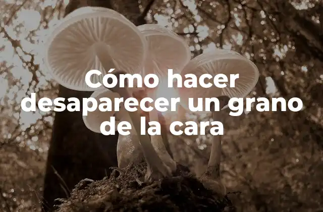 Cómo Hacer Desaparecer un Grano de la Cara