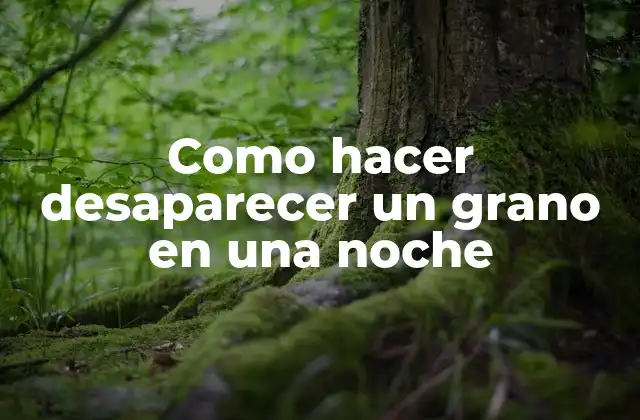 Como Hacer Desaparecer un Grano en una Noche