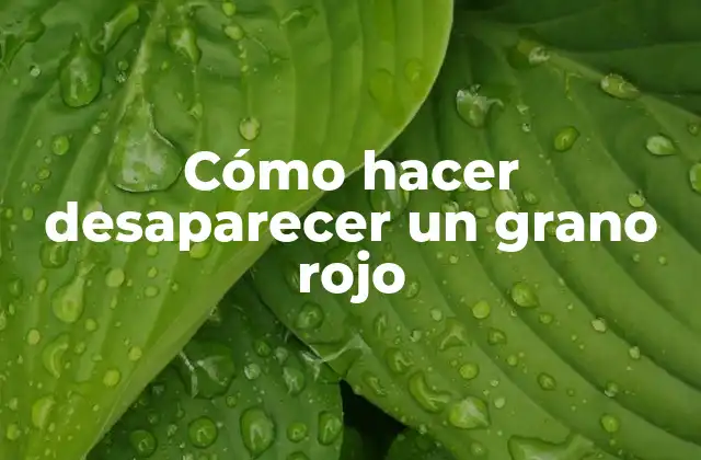 Cómo Hacer Desaparecer un Grano Rojo