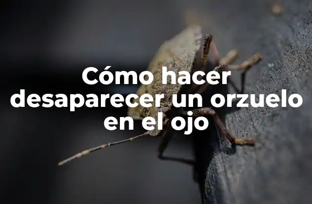 Cómo Hacer Desaparecer un Orzuelo en el Ojo