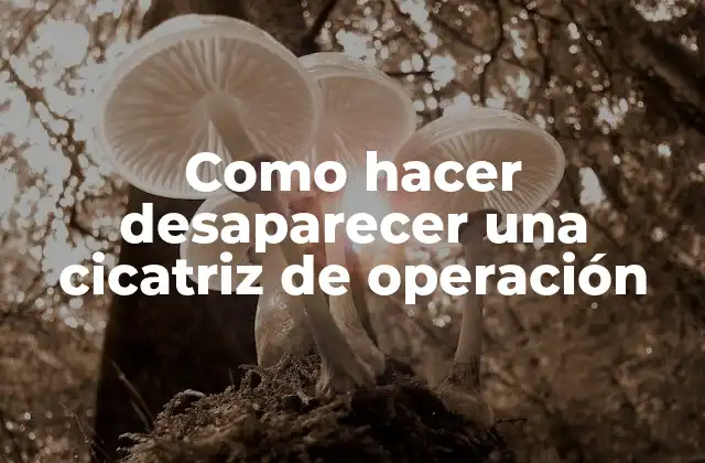 Como Hacer Desaparecer una Cicatriz de Operación