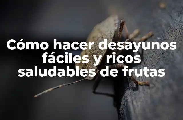 Cómo Hacer Desayunos Fáciles y Ricos Saludables de Frutas