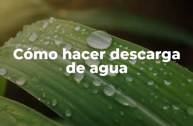 Cómo Hacer Descarga de Agua