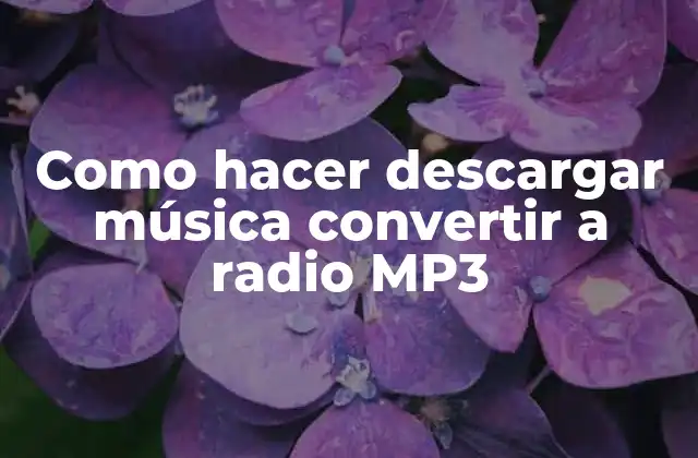 Como Hacer Descargar Música Convertir a Radio Mp3