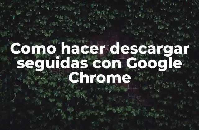 Como Hacer Descargar Seguidas con Google Chrome