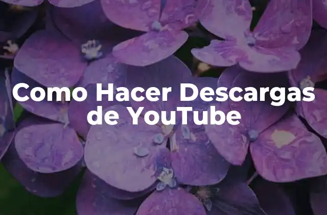 Como Hacer Descargas de Youtube