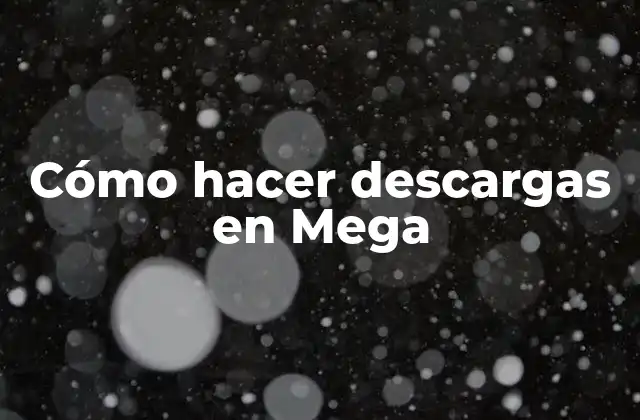 Cómo Hacer Descargas en Mega 2 ¿Qué es Mega y para qué sirve?