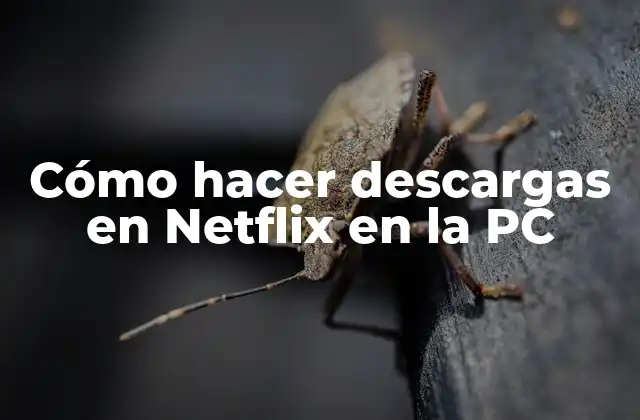 Cómo Hacer Descargas en Netflix en la Pc